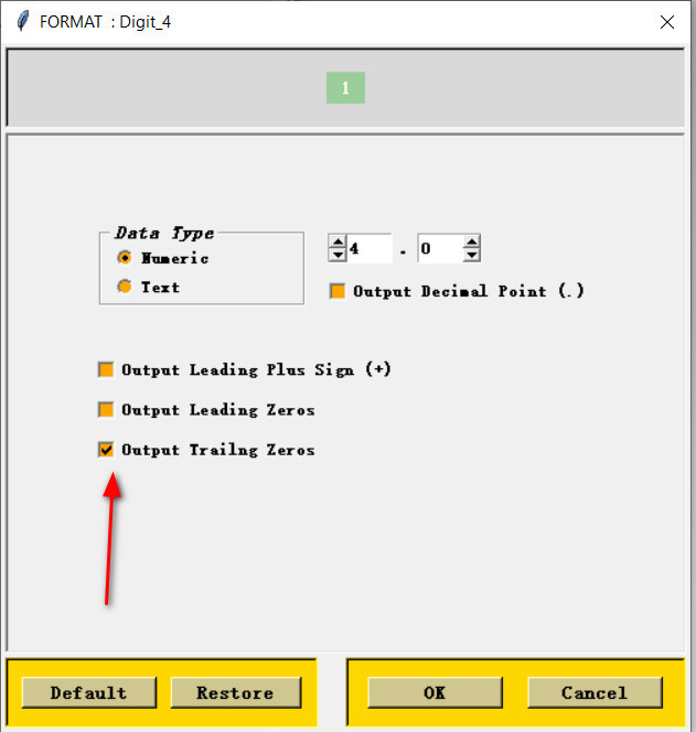 Format Digit_4 của từ N: Output Leading Zeros không tick, Output Trailing Zeros có tick, xem trước hiện 1